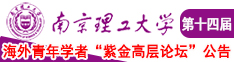 美国操逼网址南京理工大学第十四届海外青年学者紫金论坛诚邀海内外英才！